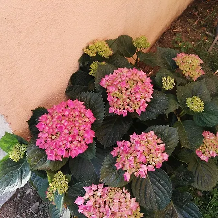 Miramonti Turismo Rurale 2* Seulo