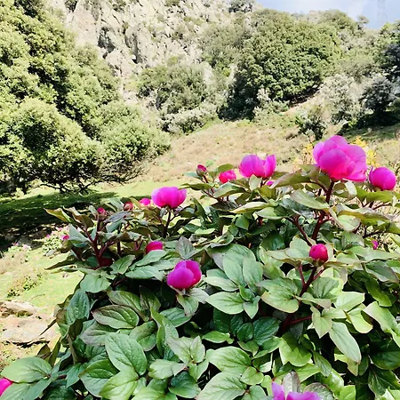 Miramonti Turismo Rurale 2*