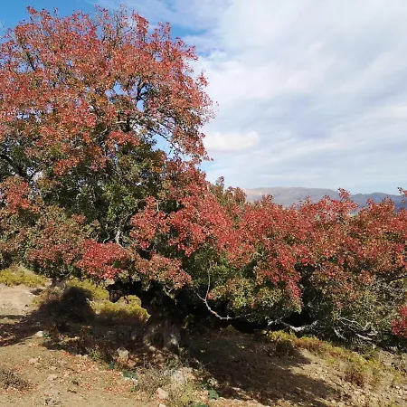 Miramonti Turismo Rurale Seùlo