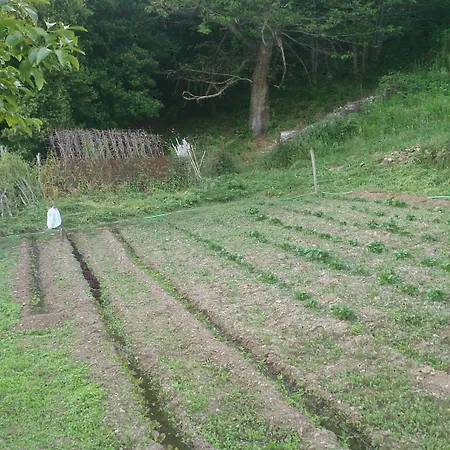 Hotel Miramonti Seulo Turismo Rurale 2*