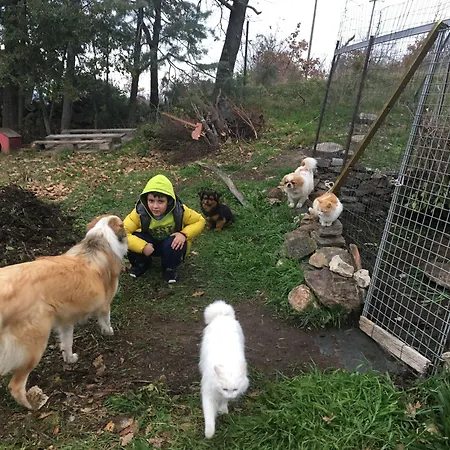 Hotel Hotel Miramonti Seulo Turismo Rurale