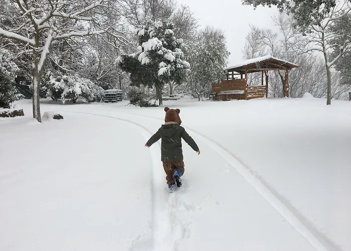 Hotel Miramonti Turismo Rurale Seùlo