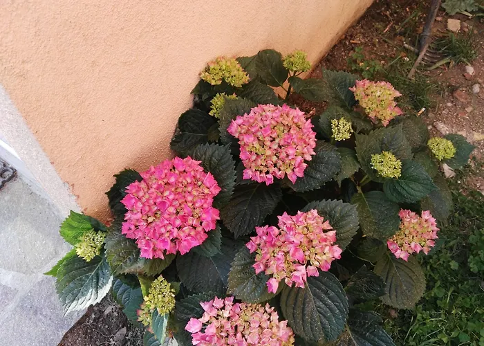 Miramonti Turismo Rurale 2* Seùlo