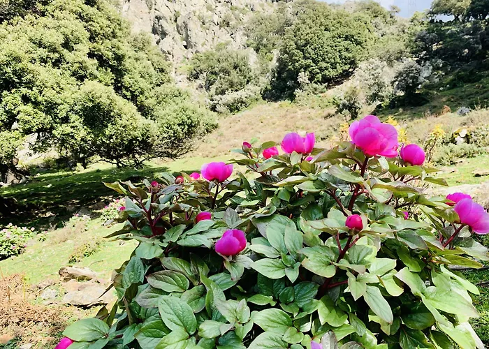 Miramonti Turismo Rurale 2*