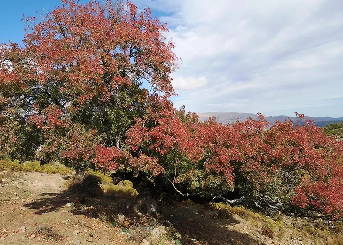 Miramonti Turismo Rurale Seùlo